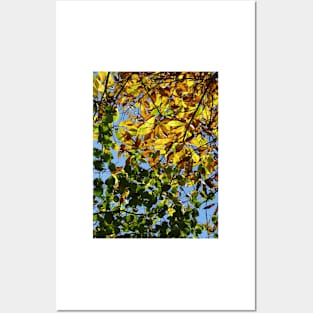 Autumn Posters and Art